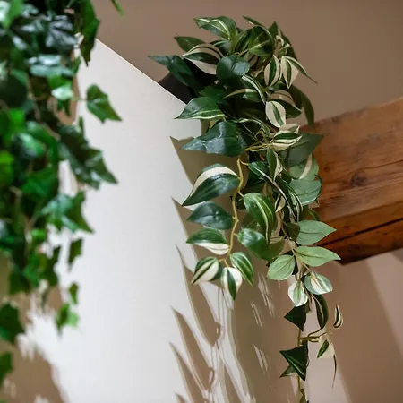 Novita 2 - - Balcony - Mountain Views *